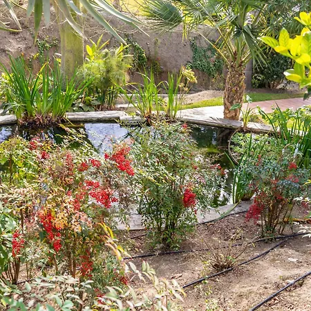 Casablanca 20 Oasis
