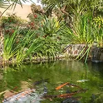 Casablanca 20 Oasis