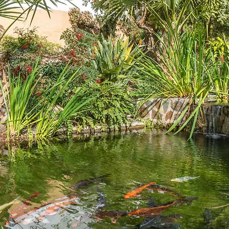 Casablanca 20 Oasis
