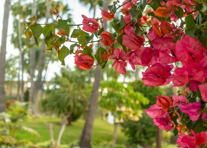 Casablanca 20 Oasis Apartmán Nerja