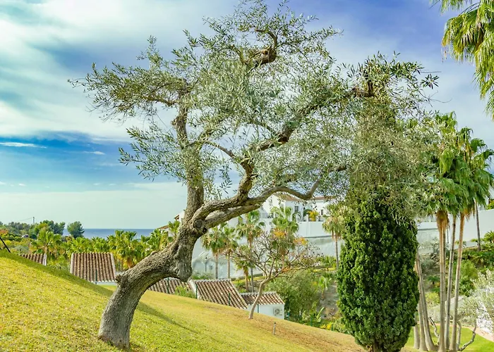 Casablanca 20 Oasis * Nerja